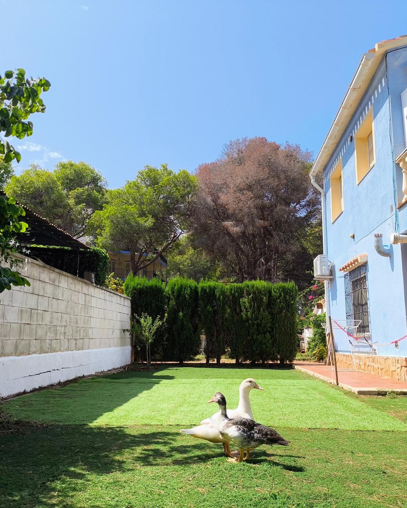 Estudio Las Rotas Dénia Exterior foto